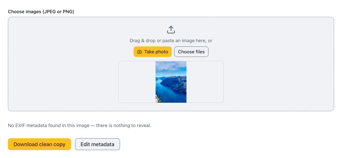 ToolsTray's EXIF viewer reporting no EXIF metadata found in a cleaned photo, with nothing left to reveal.